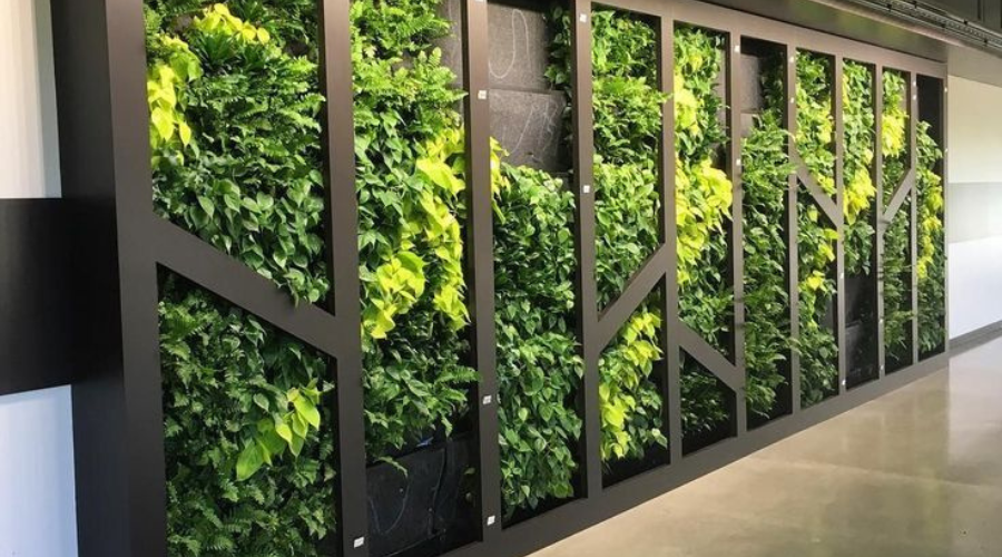 Biophilic Design for Well-being