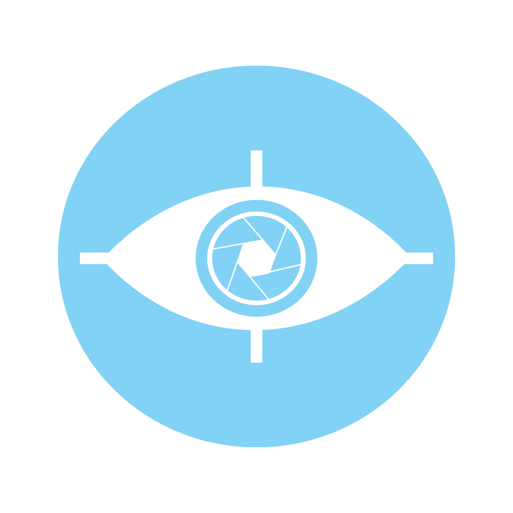 vision